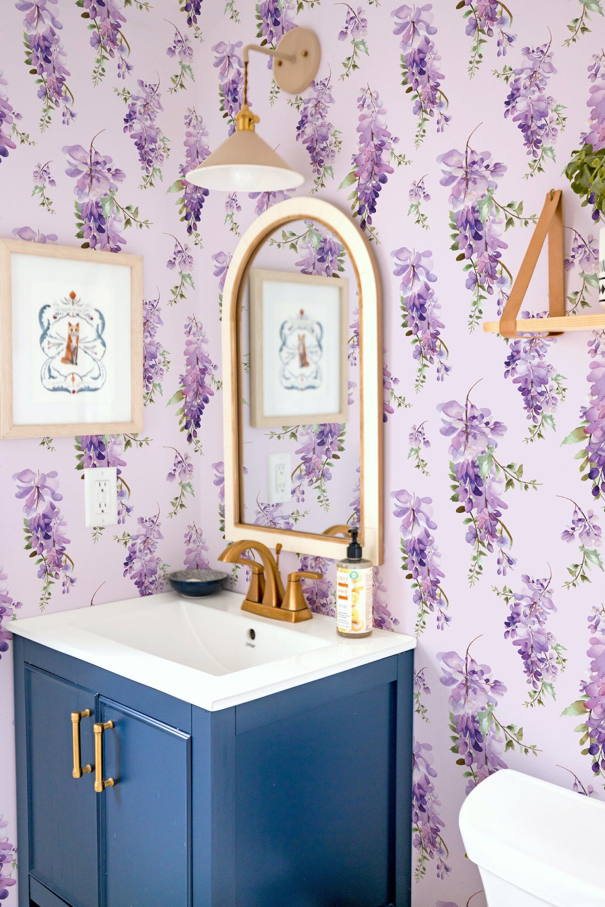 Glycine Mauve Fond Lilas, en situation