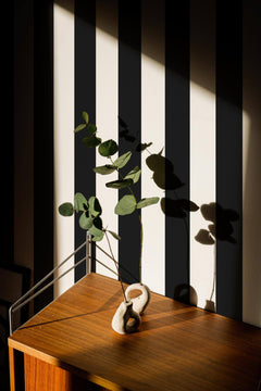 Rayures Verticales Noires — papier peint panoramique sur mesure