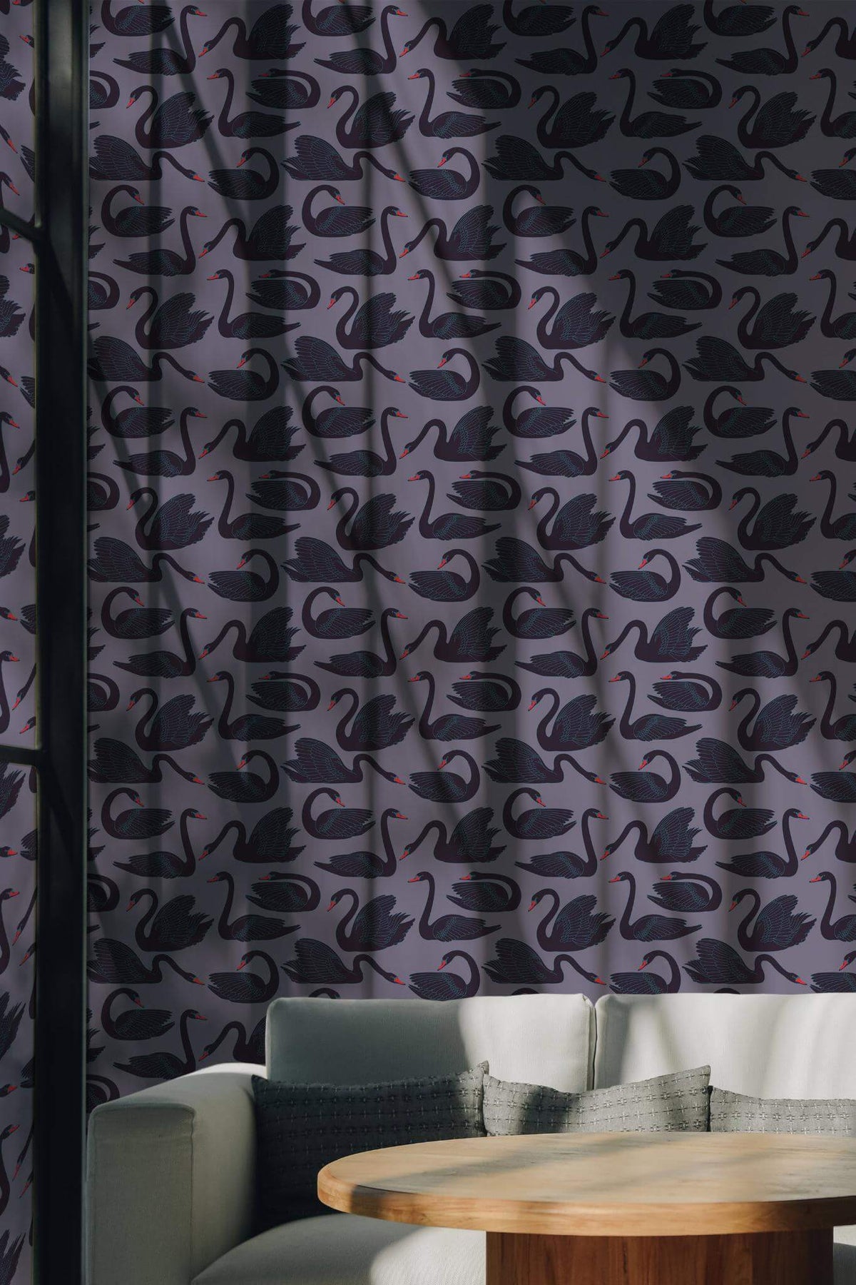 Cygnes Noirs sur Mauve, en situation