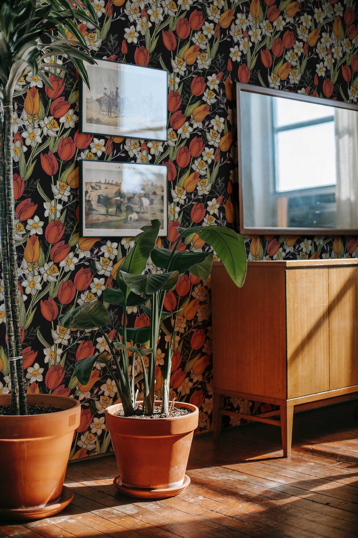 Tulipes et Narcisses sur Noir, en situation