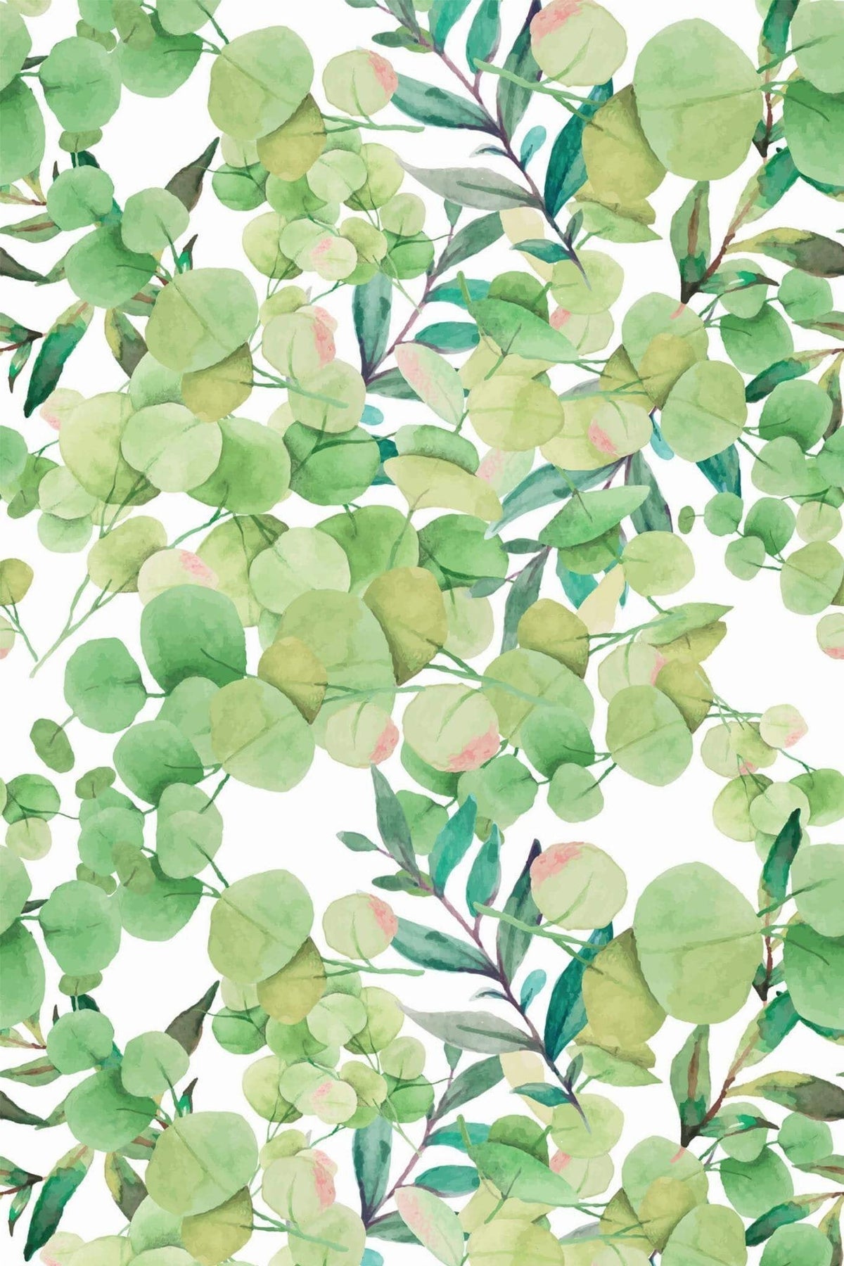 Feuillage d'Eucalyptus Vert Pomme, aperçu aux dimensions saisies