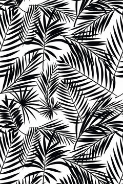 Motif à plat : palmes et feuilles en éventail en noir plein, superposées sur fond blanc.
