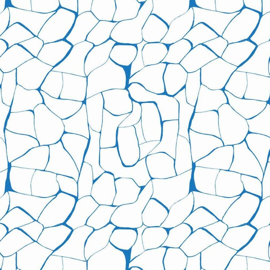 Gros plan de l'impression : trait bleu d'épaisseur changeante fermant une forme de galet sur le blanc.