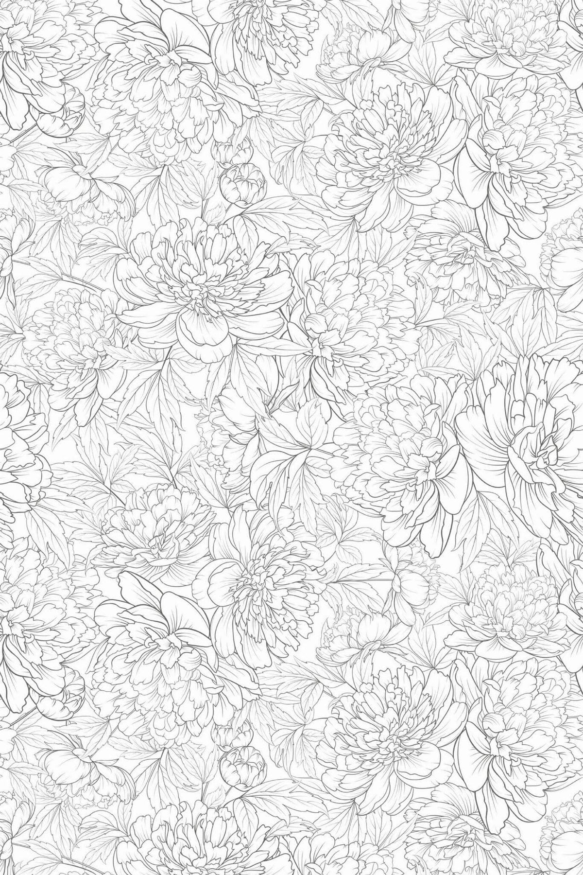 Pivoines au Trait Gris, aperçu aux dimensions saisies