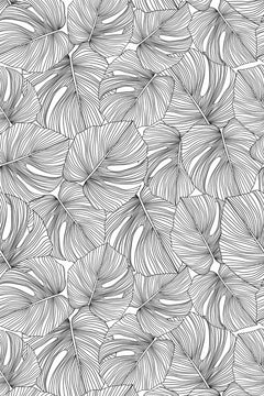 Motif à plat : feuilles de monstera cernées de noir et remplies de lignes parallèles fines, se chevauchant sur toute la surface.