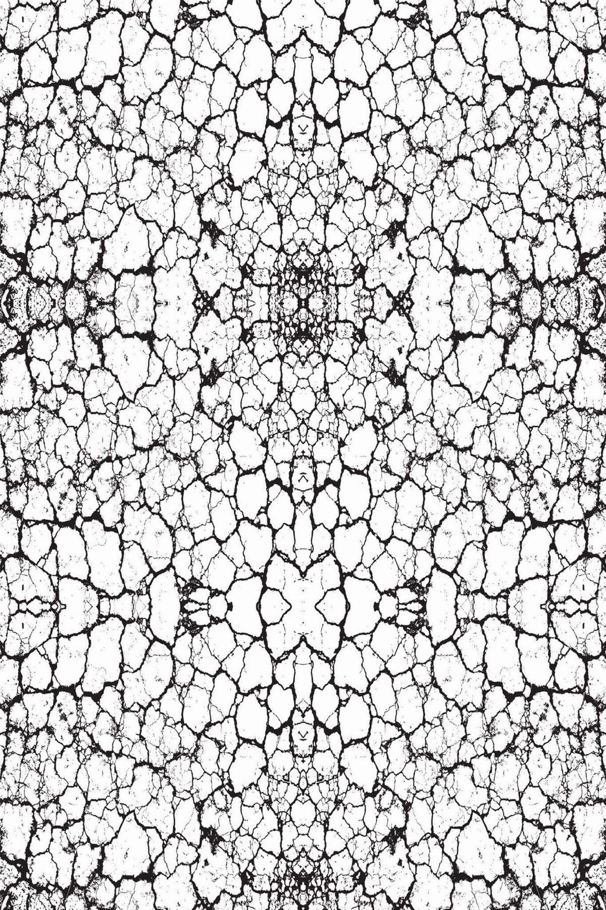 Craquelures Noires sur Blanc, le motif seul