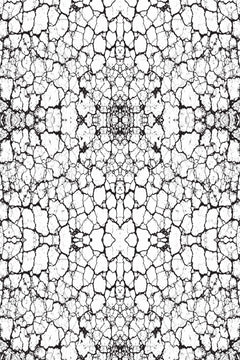 Motif de craquelures noires irrégulières formant un réseau de cellules sur fond blanc, vu à plat