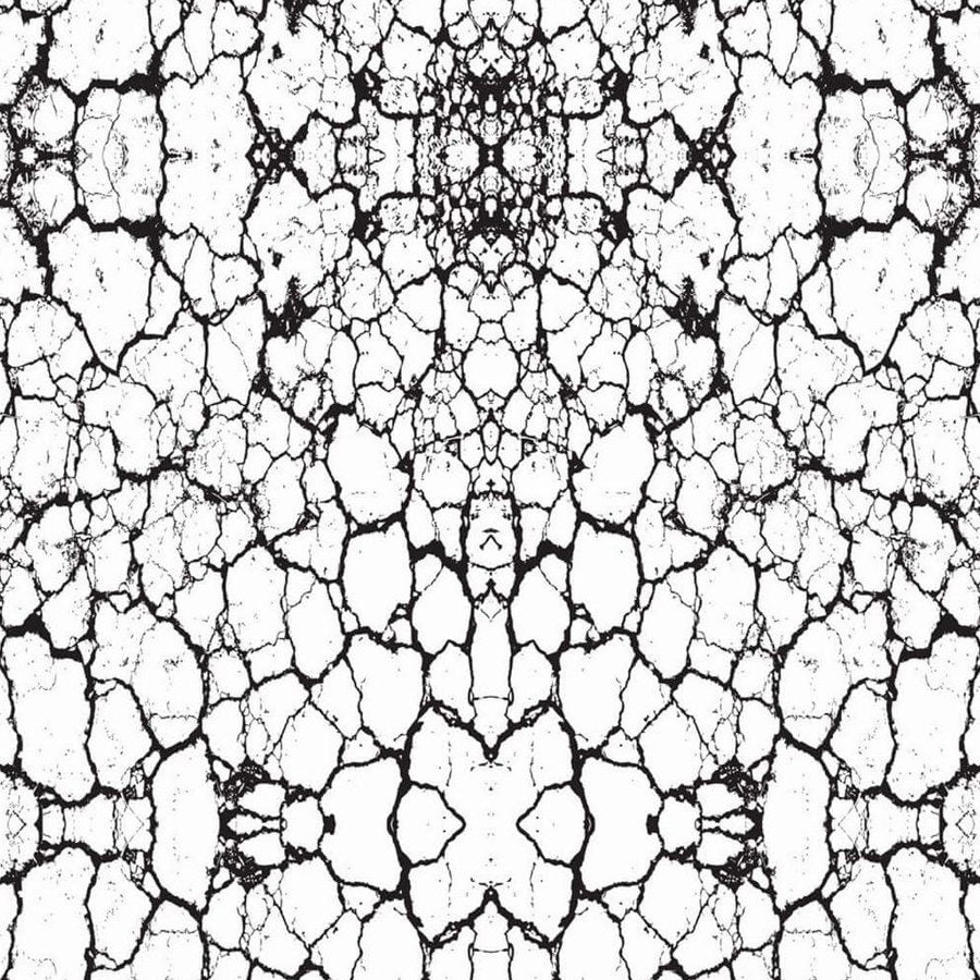 Gros plan sur l'impression : lignes d'encre noire, éclats fins et points serrés sur fond blanc
