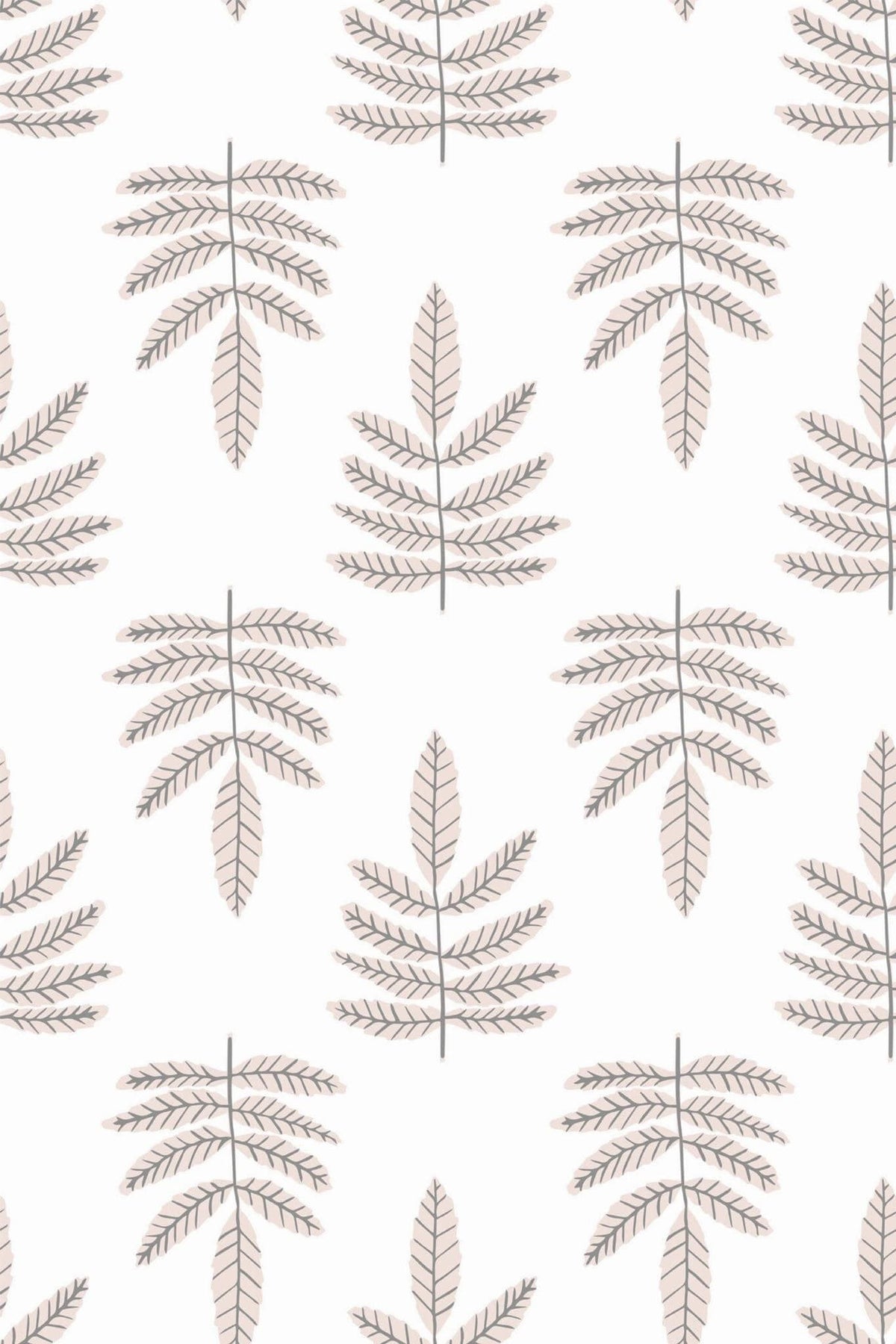 Frondes de Mimosa Taupe, le motif seul