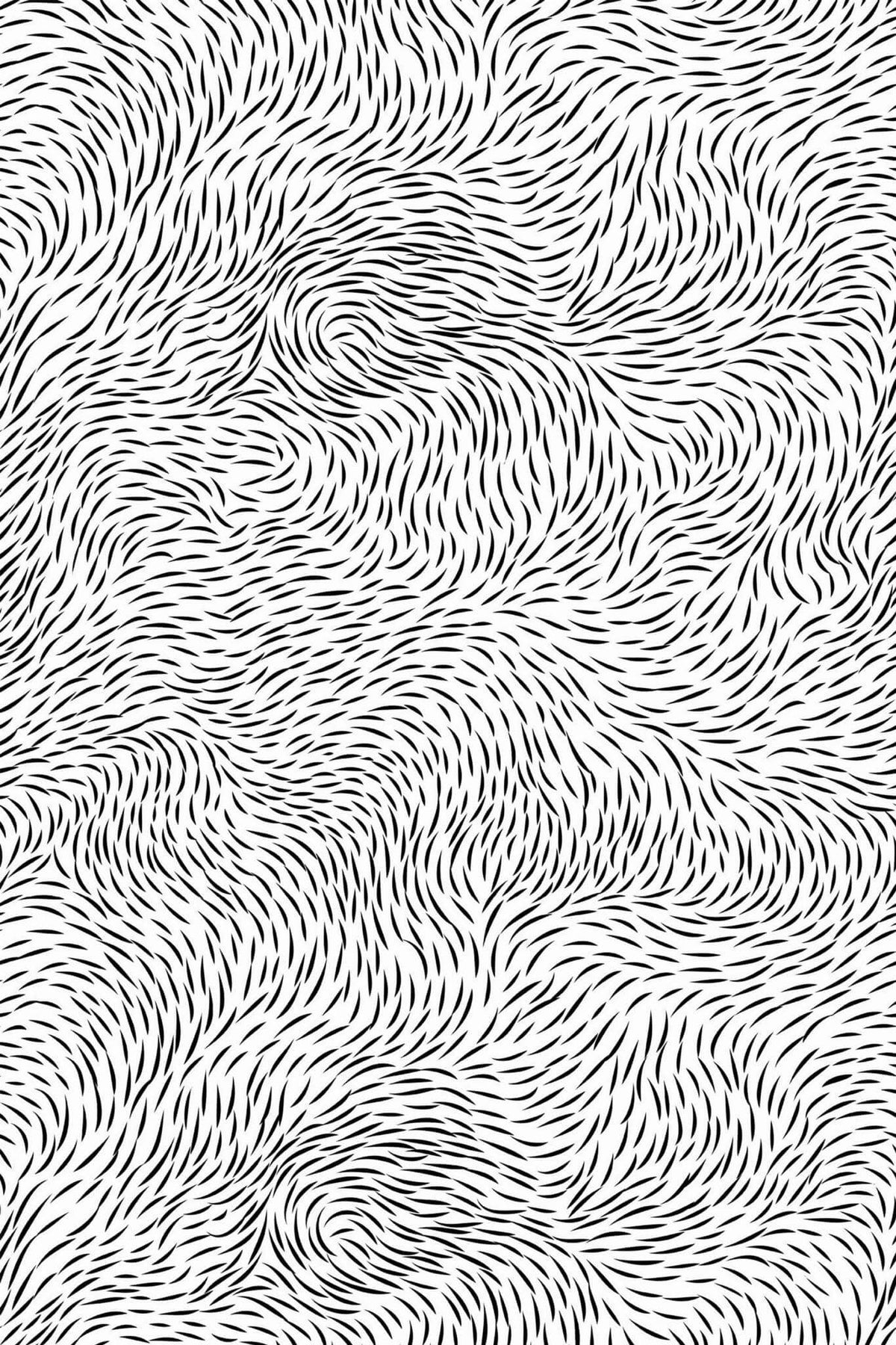 Remous de Traits Noirs, le motif seul