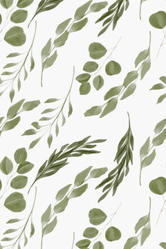 Motif à plat de branches d'eucalyptus vert sauge et olive peintes sur fond blanc