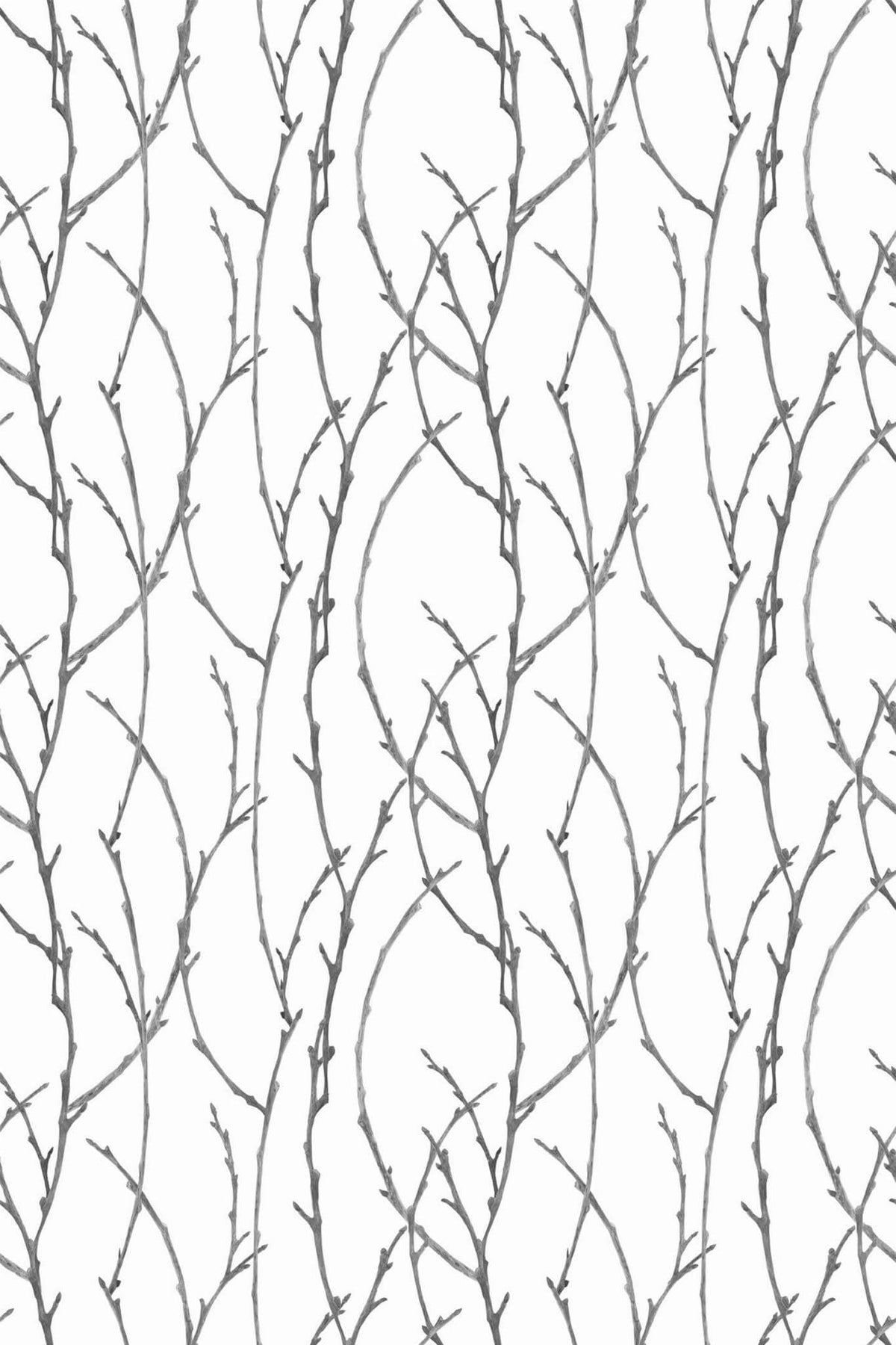 Rameaux Gris Argent, aperçu aux dimensions saisies