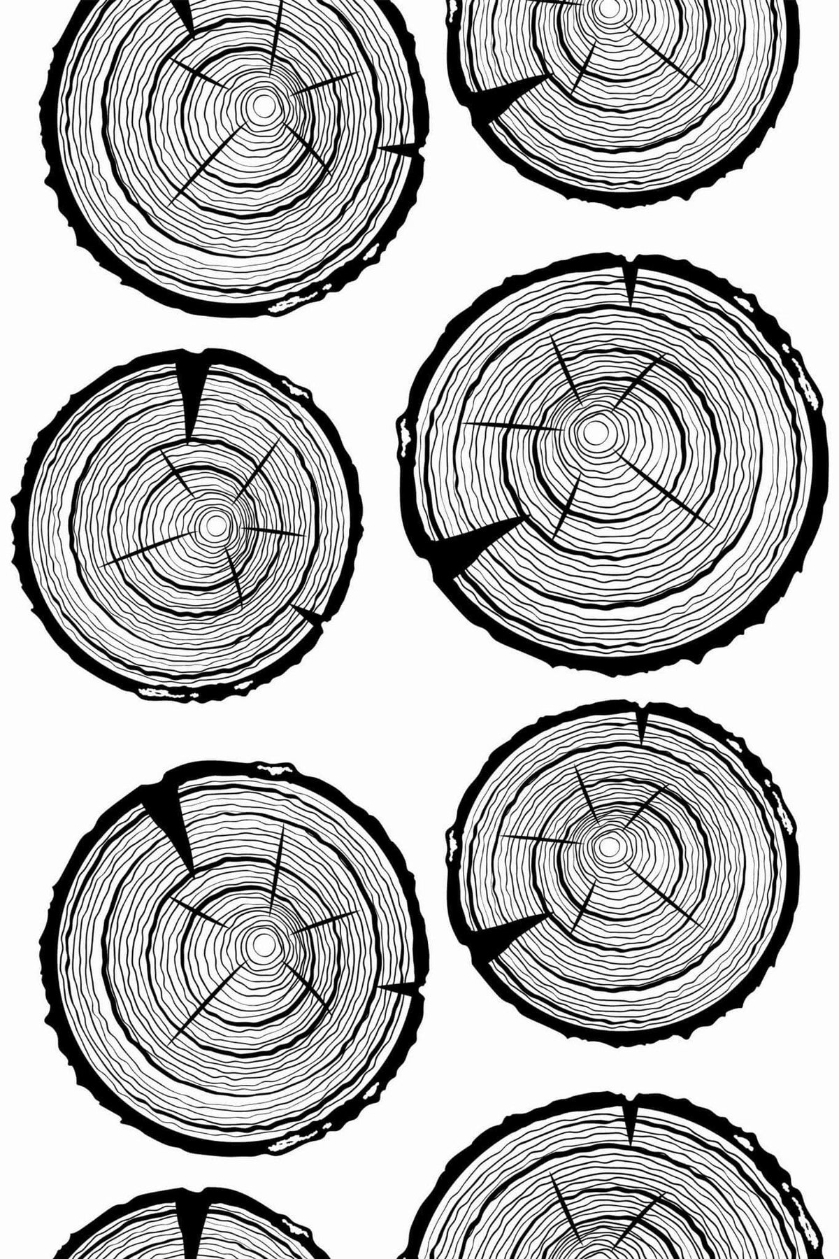 Cernes de Bois Noirs, le motif seul