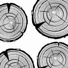 Gros plan de l'impression montrant la superposition des cernes noirs et la fente radiale qui s'ouvre en coin dans le disque