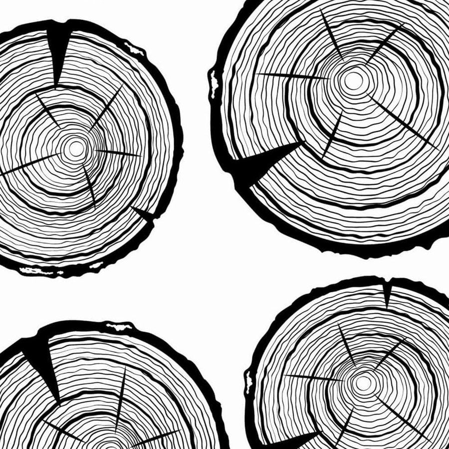 Gros plan de l'impression montrant la superposition des cernes noirs et la fente radiale qui s'ouvre en coin dans le disque