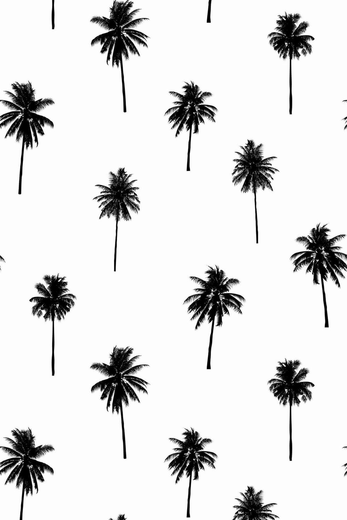 Cocotiers Épars Noirs, aperçu aux dimensions saisies