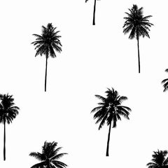 Gros plan de l'impression : la couronne noire d'un cocotier, palme par palme, et son tronc filiforme.