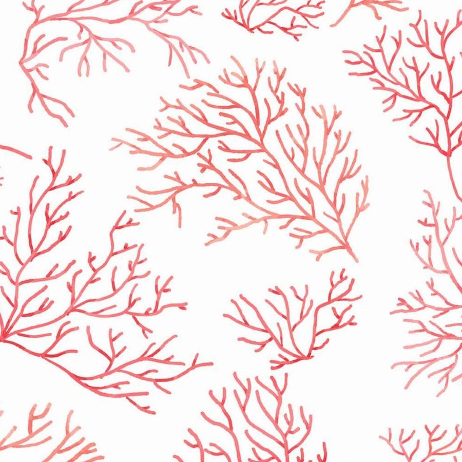 Gros plan de l'impression : rameaux fins et dépôt inégal du pigment rose sur le blanc.