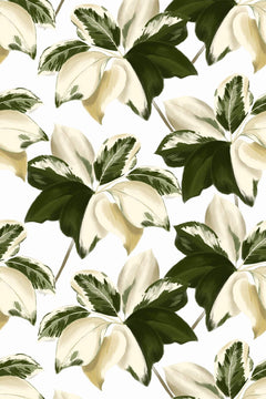 Motif à plat de grandes feuilles palmées panachées vert sapin et crème ivoire sur fond blanc