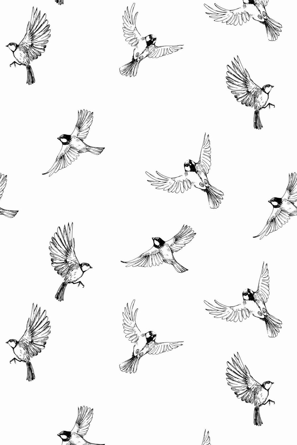 Moineaux en Vol Encre Noire, le motif seul