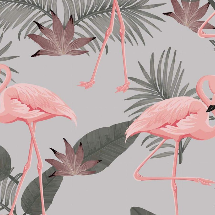 Gros plan de l'impression : plumes roses en écailles du dos et bec rose terminé de noir.