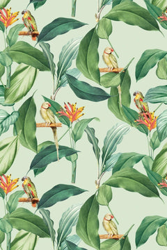 Motif à plat : petits perroquets verts et jaunes, feuilles vert foncé et fleurs orangées sur fond vert amande.