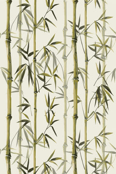 Motif à plat : cannes de bambou vert olive et feuilles pointues sur fond blanc cassé