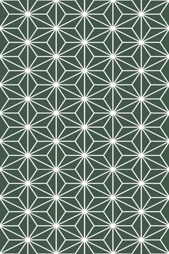 Le décor à plat : étoiles à six branches en lignes blanches sur un fond vert sauge foncé.