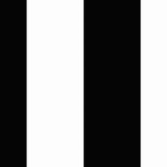 Gros plan de l'impression : arête droite entre une bande noire mate et la bande blanche voisine, sans dégradé.