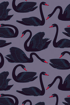 Motif à plat : cygnes noirs au bec rouge nageant en tous sens sur un fond mauve grisé.