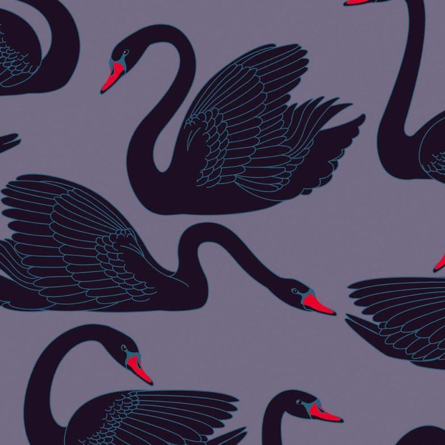 Gros plan de l'impression : liseré bleu pâle des plumes sur le noir et bord du bec rouge.