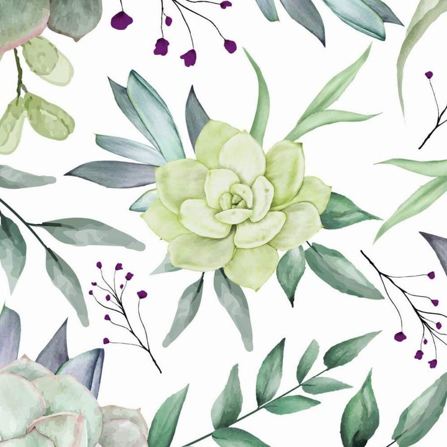 Succulentes Vert d'Eau, le motif seul