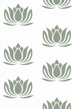 Motif à plat : grandes fleurs de lotus vert sauge en aplat, posées en quinconce sur fond blanc.