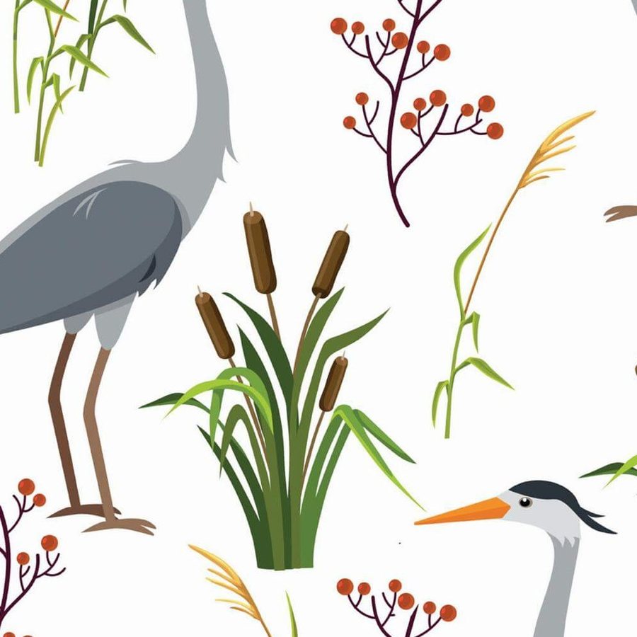 Gros plan de l'impression : plumes grises de l'aile et grappe de baies corail sur le blanc.