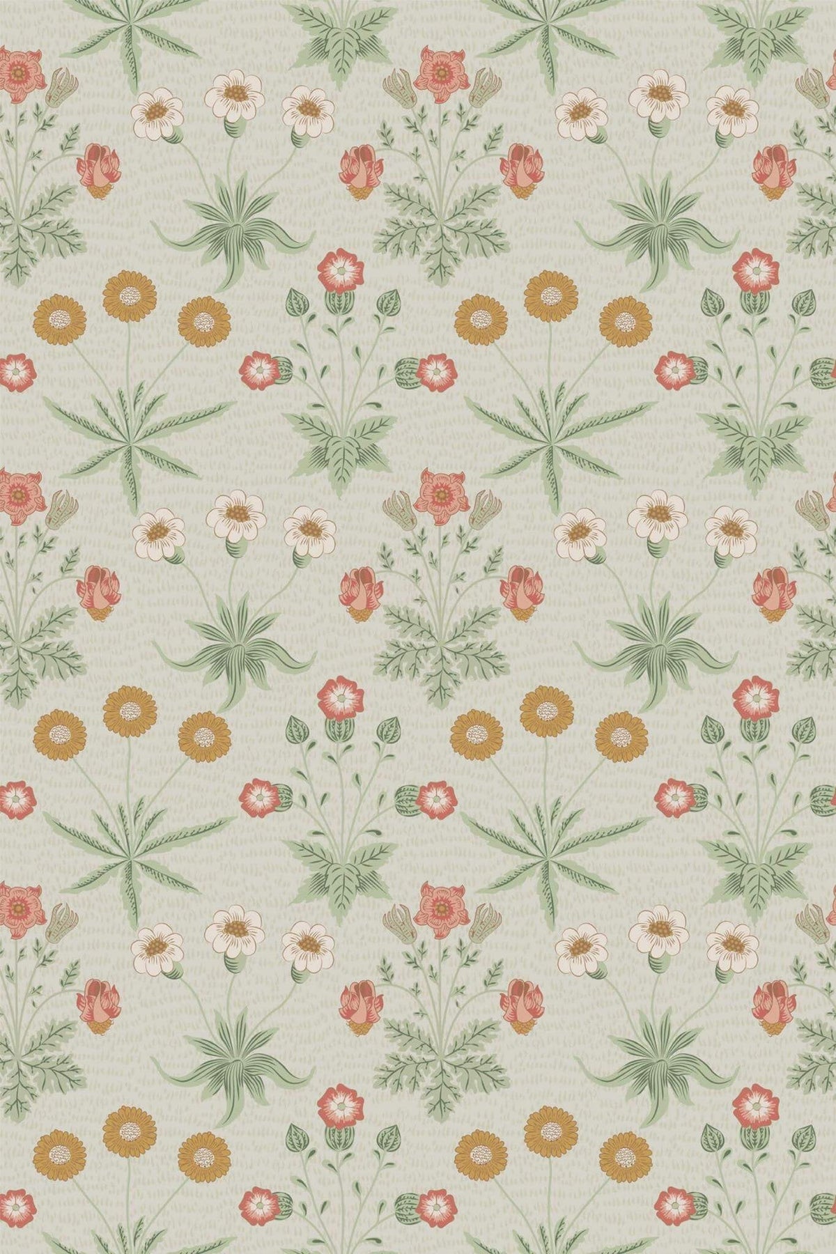 Semis de Marguerites Gris Pâle, le motif seul
