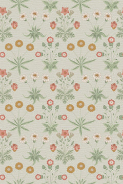 Petites marguerites blanches, rosettes ocre et touffes sauge sur fond gris-vert pâle.