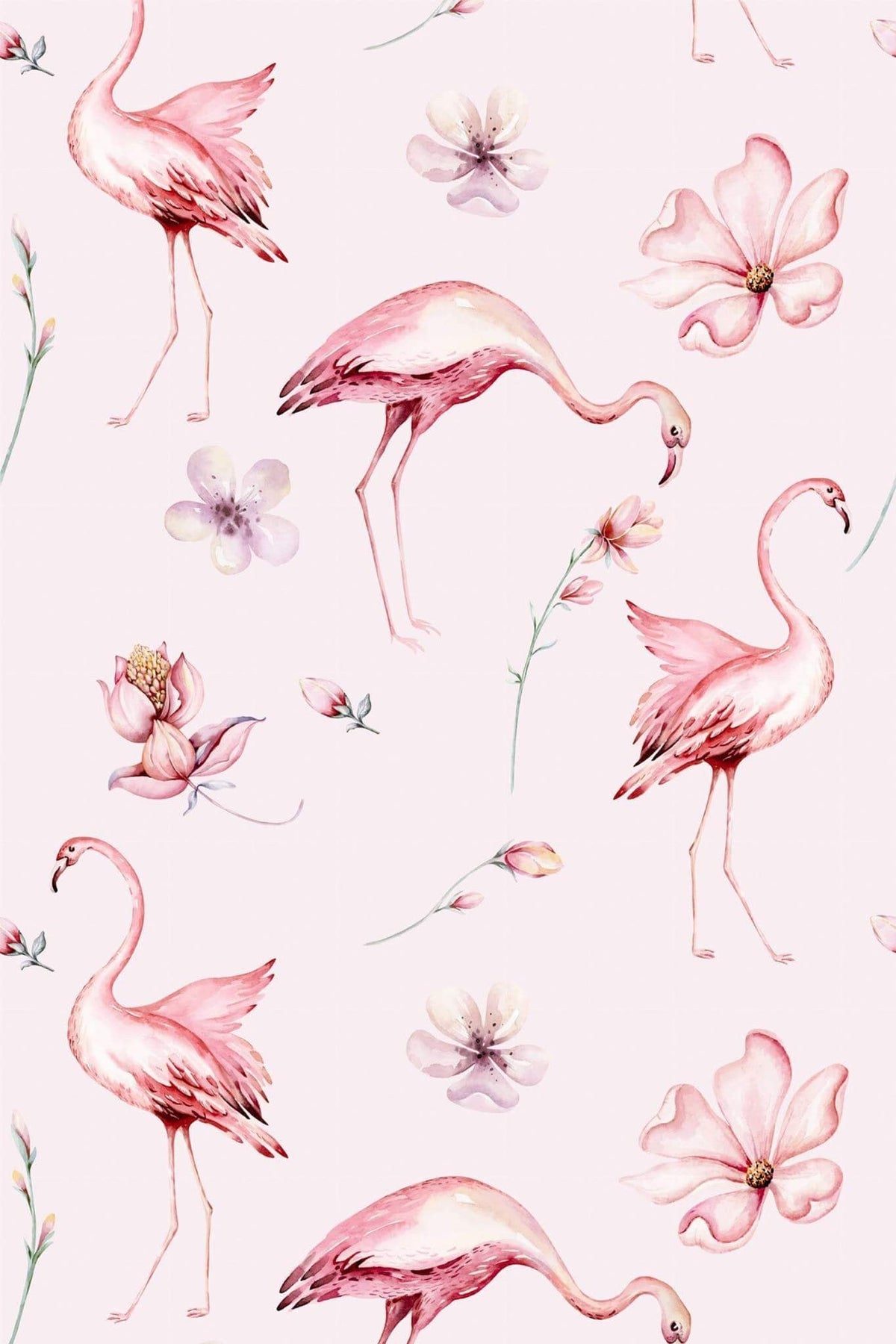 Flamants à l'Aquarelle Rose Poudré, le motif seul