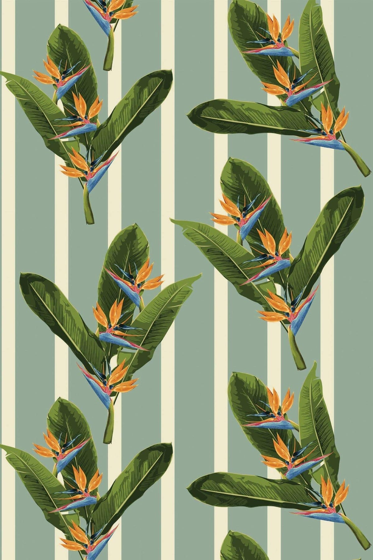 Strelitzias sur Rayures Sauge, aperçu aux dimensions saisies