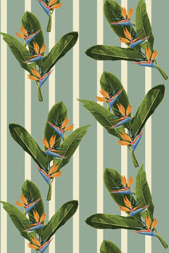 Bouquets de strelitzias orange et feuilles de bananier sur rayures sauge et ivoire.