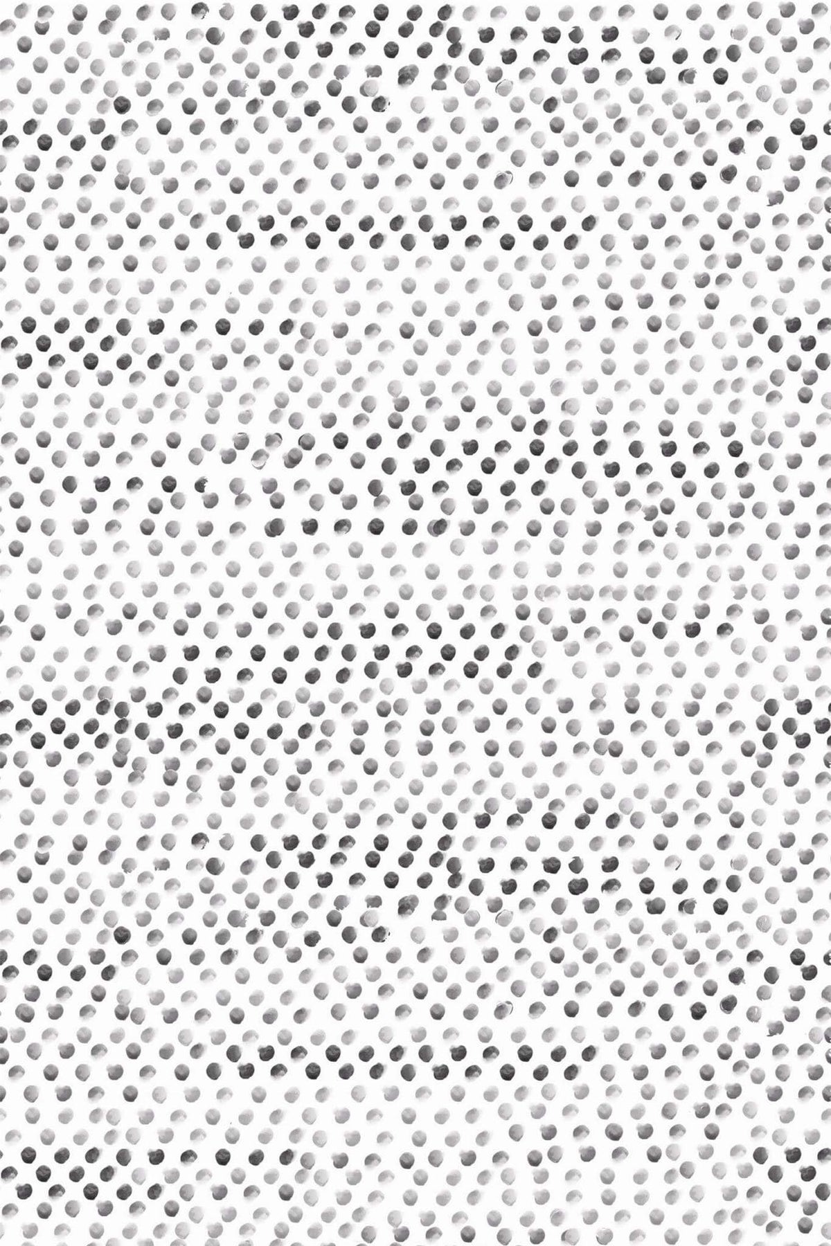 Semis de Pois Gris, le motif seul