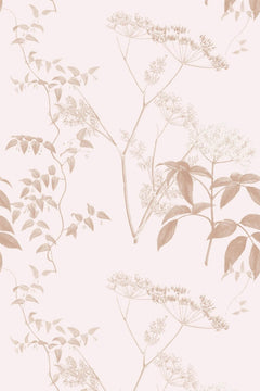 Motif à plat : ombelles, tiges grimpantes et feuilles au trait rose-beige sur fond rose poudré pâle.