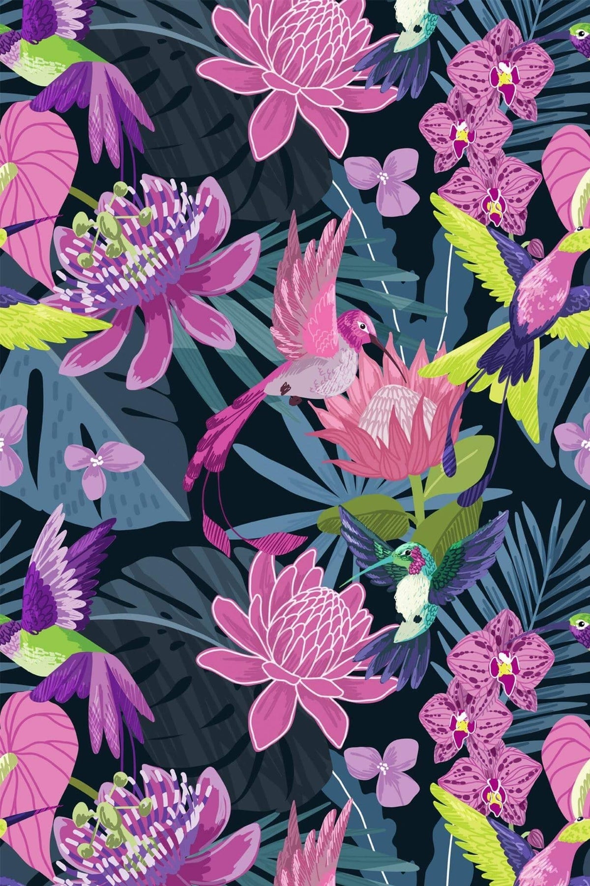 Protéas Fuchsia sur Fond Nuit, le motif seul