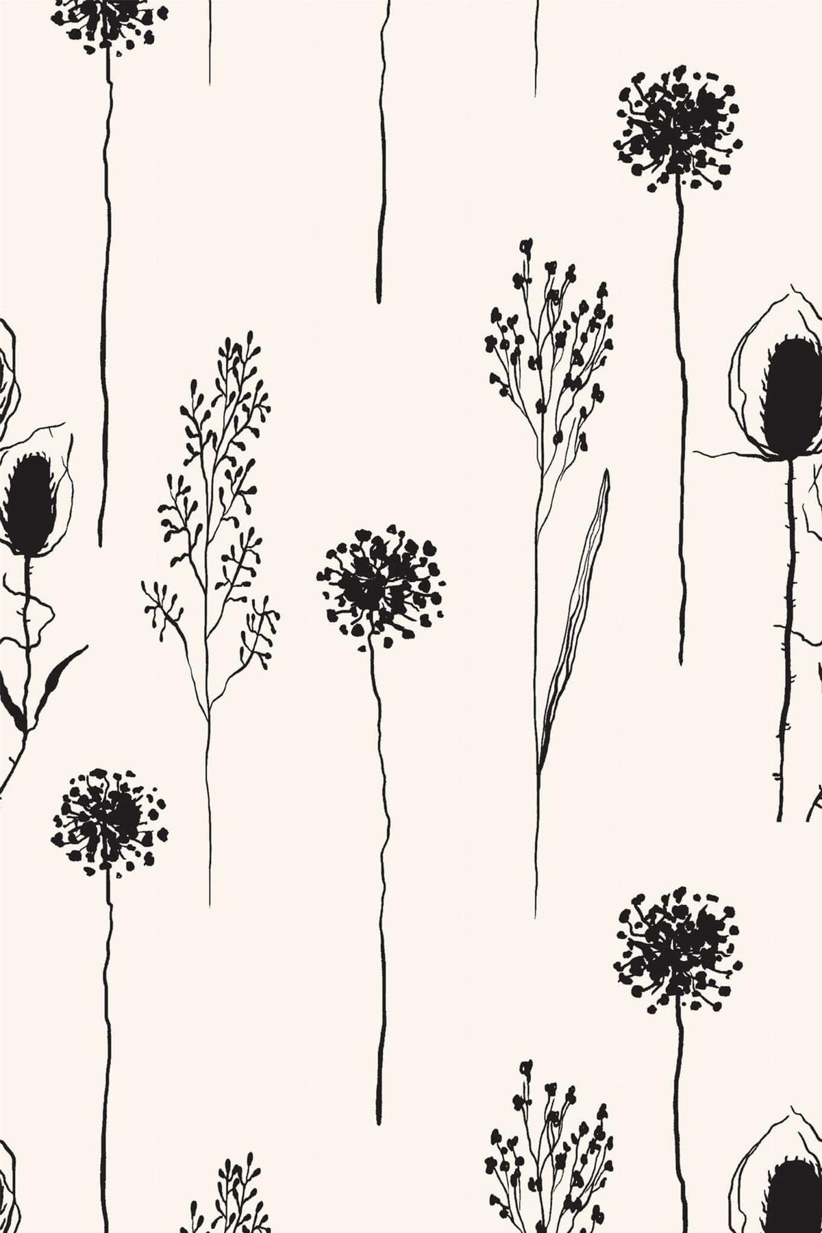 Ombelles à l'Encre sur Crème, aperçu aux dimensions saisies