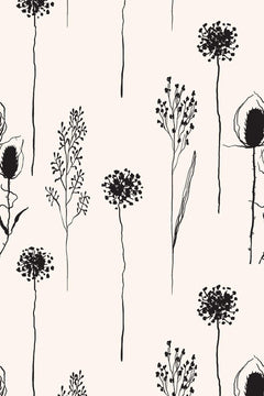 Le motif à plat : ombelles, chardons et longues tiges dessinés à l'encre noire sur un fond crème légèrement rosé.