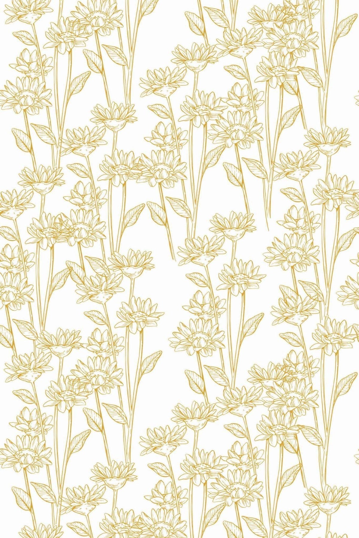 Marguerites au Trait Ocre, aperçu aux dimensions saisies