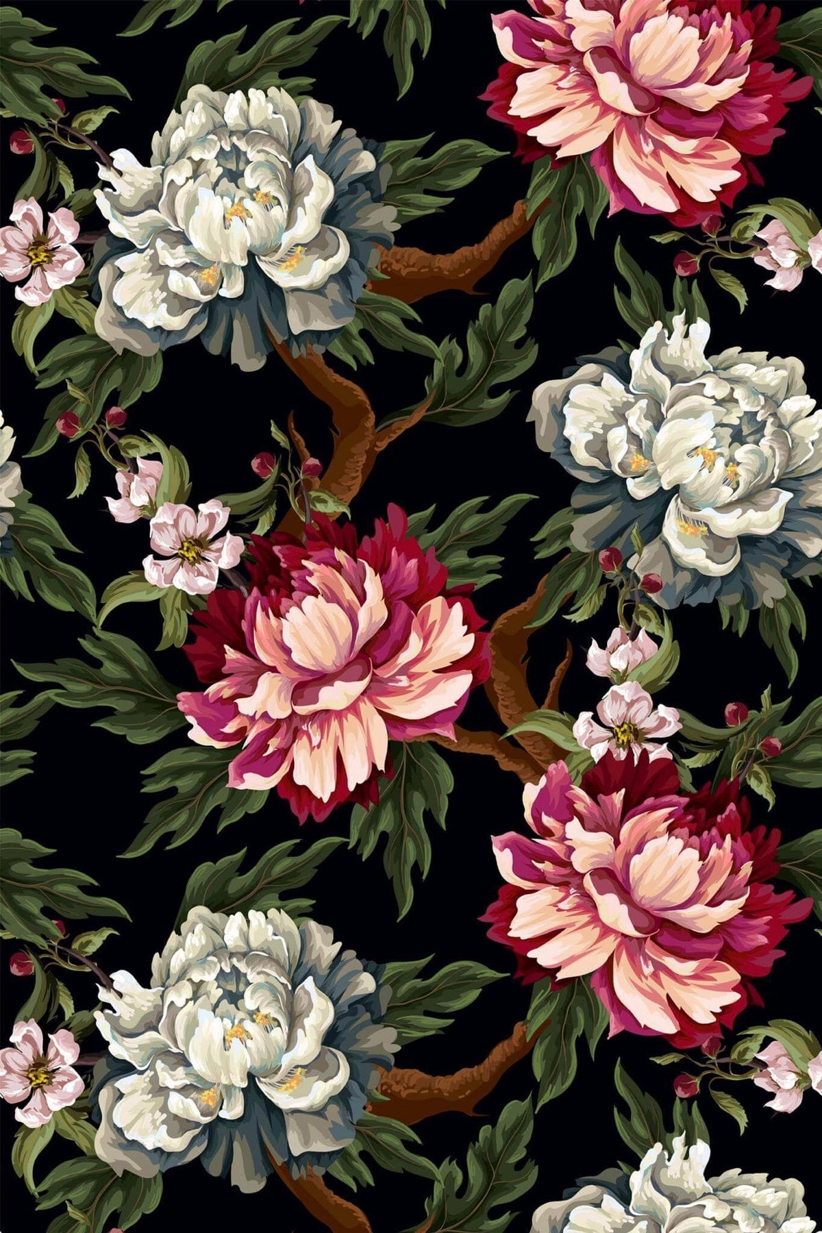 Pivoines Framboise sur Fond Noir, aperçu aux dimensions saisies