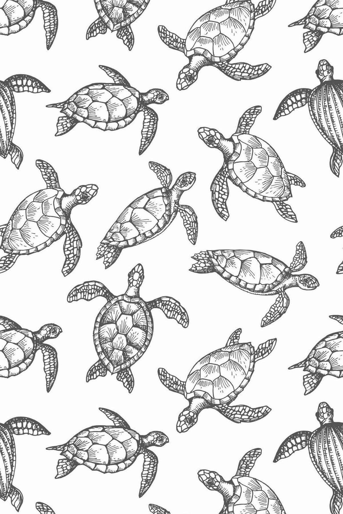 Tortues Marines Encre Noire, le motif seul