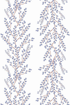 Longues branches verticales de bourgeons bleu lavande sur tiges brun cuivré, fond blanc.