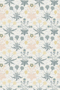 Rosettes de feuilles bleu-gris, fleurs rondes jaune pâle et tiges rose pêche répétées sur un fond crème pointillé de bleu.