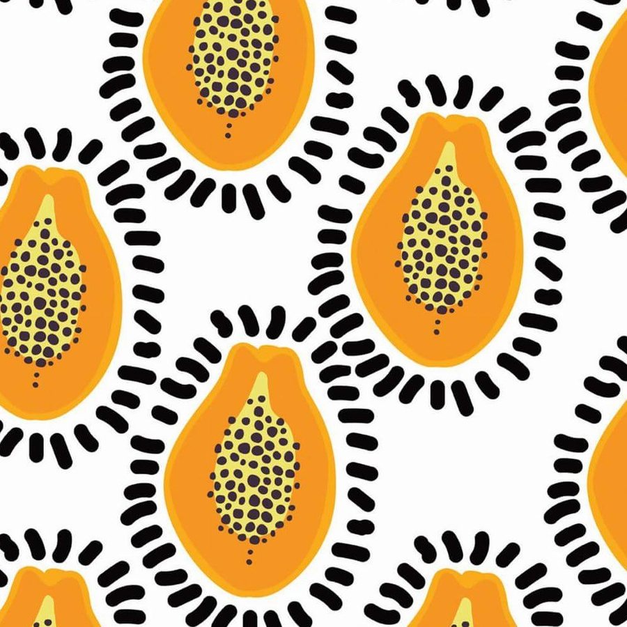 Gros plan de l'impression : graines noires dans la chair orange et traits épais de la couronne sur le fond blanc